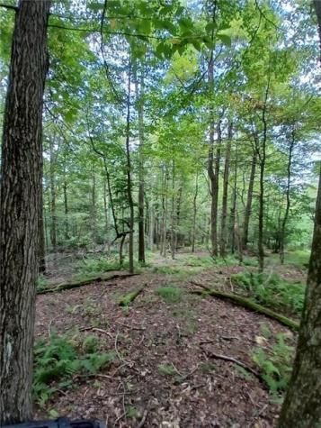 702 Shepherd Road Wharton Township PA 15437
