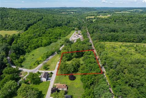 60 Woodrow Drive Avella PA 15340