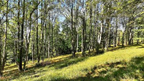 Lot #15 Warne Lane South Franklin PA 15301