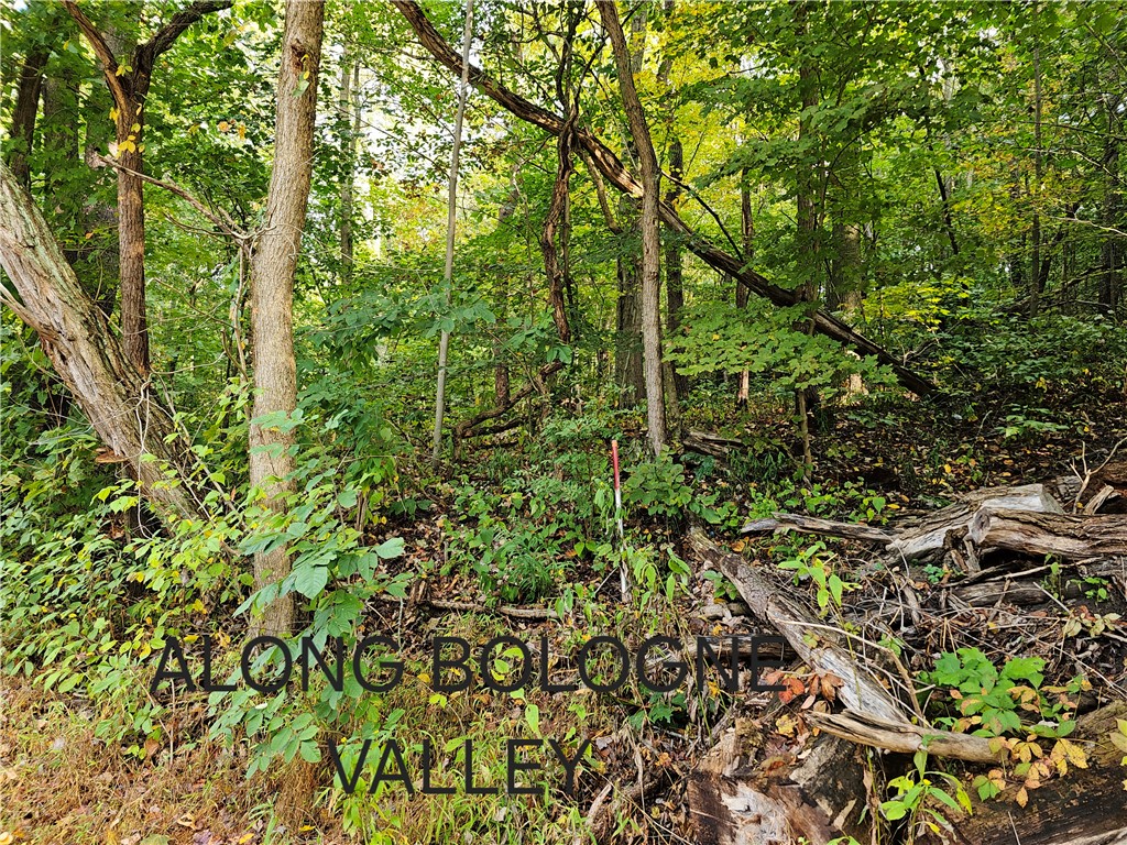 0 Bologne Valley Road North Sewickley Township PA 15010