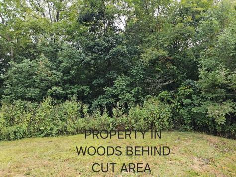 0 Bologne Valley Road North Sewickley Township PA 15010