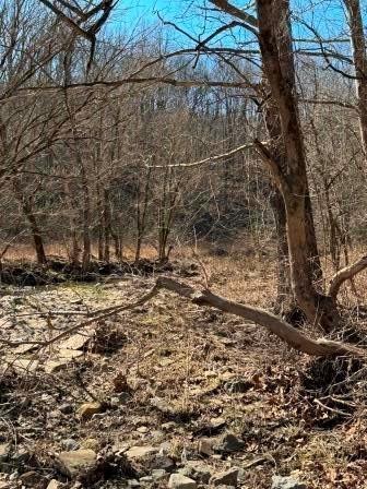 0 Brush Run Blaine Township PA 15312