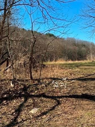 0 Brush Run Blaine Township PA 15312