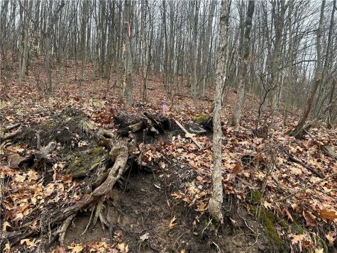 0 Nye Road Perry Township PA 16051