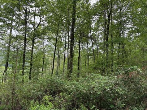 Lot 4 Cranberry Road Lower Turkeyfoot Township PA 15424