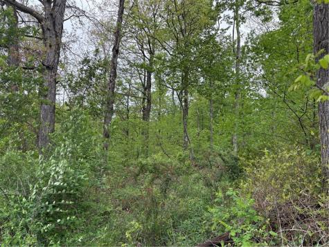 Lot 4 Cranberry Road Lower Turkeyfoot Township PA 15424
