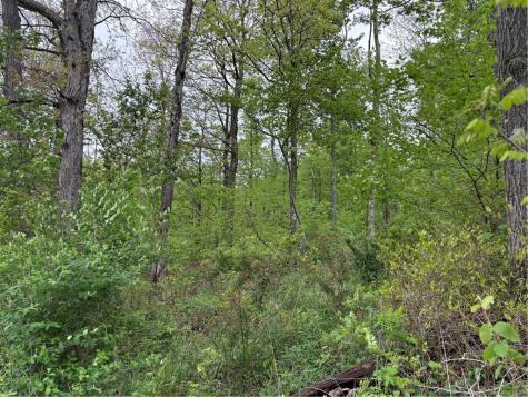 Lot 4 Cranberry Road Lower Turkeyfoot Township PA 15424