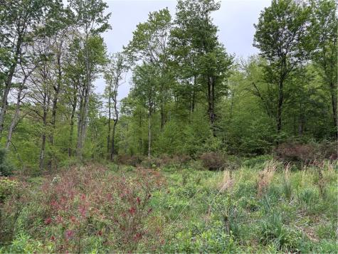 Lot 4 Cranberry Road Lower Turkeyfoot Township PA 15424