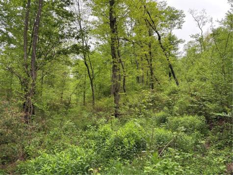 Lot 4 Cranberry Road Lower Turkeyfoot Township PA 15424
