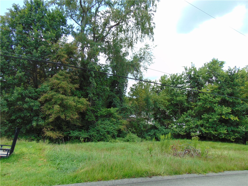1021 Monongahela Street Rostraver PA 15012