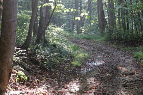 5450 Route 711 Fairfield Township PA 15944
