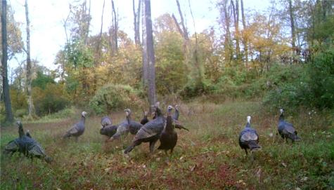 5450 Route 711 Fairfield Township PA 15944