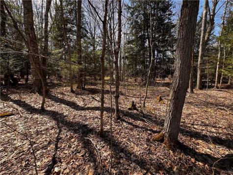 Lot 4 Lake Road & Danner Drive Canadohta Lake PA 16438