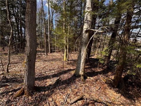 Lot 4 Lake Road & Danner Drive Canadohta Lake PA 16438