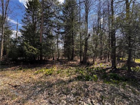 Lot 4 Lake Road & Danner Drive Canadohta Lake PA 16438