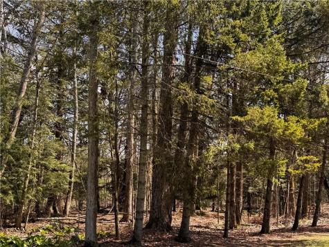 Lot 4 Lake Road & Danner Drive Canadohta Lake PA 16438