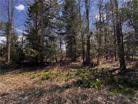 Lot 4 Lake Road & Danner Drive Canadohta Lake PA 16438