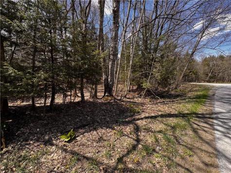 Lot 4 Lake Road & Danner Drive Canadohta Lake PA 16438