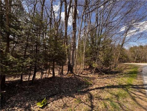 Lot 4 Lake Road & Danner Drive Canadohta Lake PA 16438