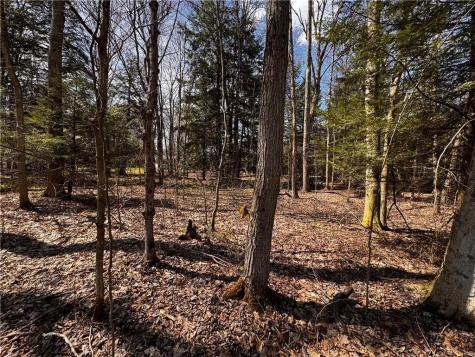 Lot 4 Lake Road & Danner Drive Canadohta Lake PA 16438