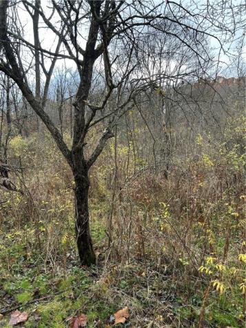 0 Ashwood Road Big Beaver PA 16115