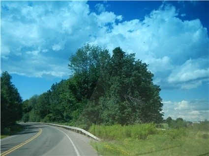 0 Highway 258 Butler Pike Springfield Township PA 16127