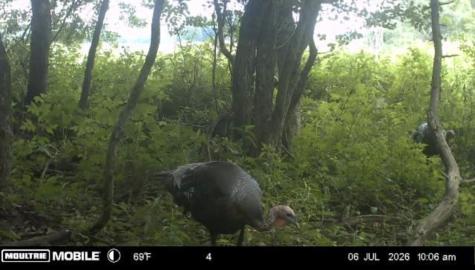 19960 Bockman Hollow Road Woodcock PA 16433