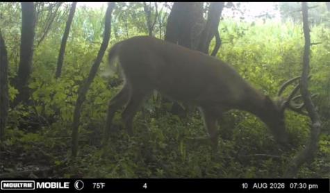 19960 Bockman Hollow Road Woodcock PA 16433