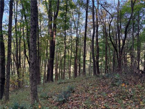 0 Wheeling Creek Road Wind Ridge PA 15380