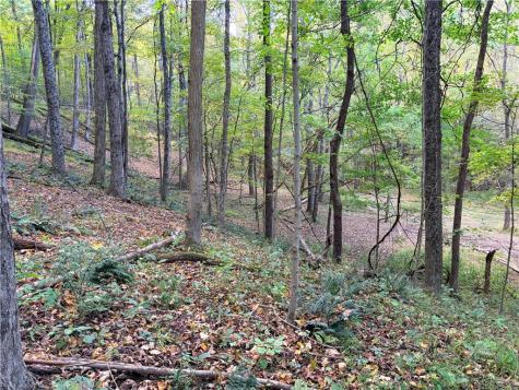 0 Wheeling Creek Road Wind Ridge PA 15380
