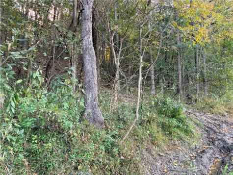 0 Wheeling Creek Road Wind Ridge PA 15380