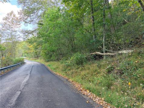 0 Wheeling Creek Road Wind Ridge PA 15380