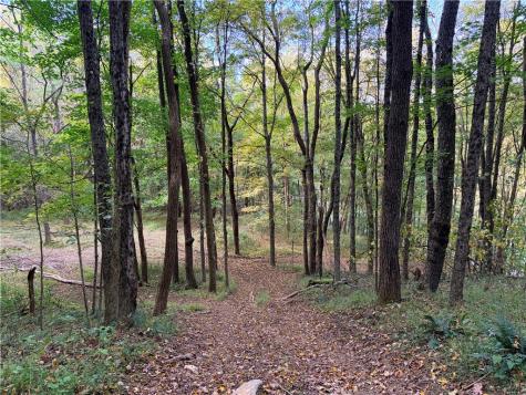 0 Wheeling Creek Road Wind Ridge PA 15380