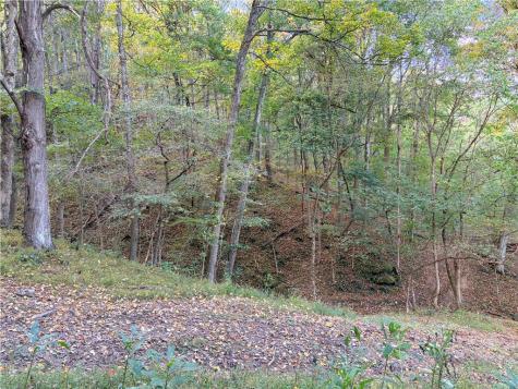 0 Wheeling Creek Road Wind Ridge PA 15380