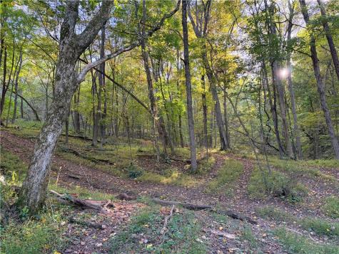 0 Wheeling Creek Road Wind Ridge PA 15380