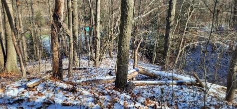 0 Callender Lane Frazer PA 15084
