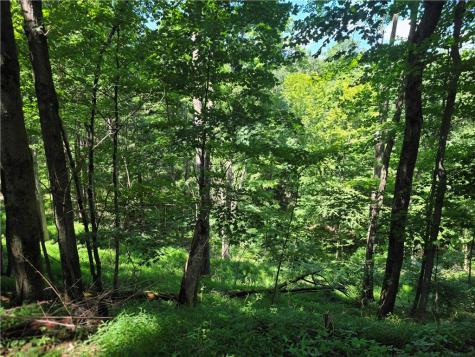 160 Derry Ridge Road Fairfield Township PA 15658