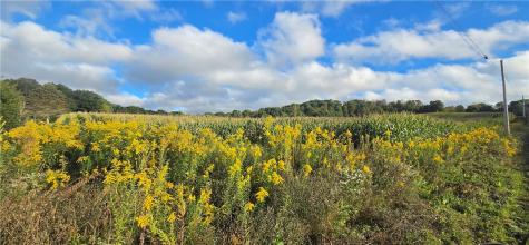 W Bakersville Edie Road Jefferson Township PA 15501