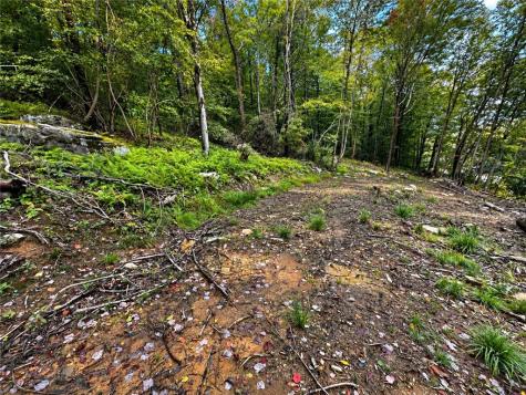 0 Us Route 30 Ligonier Township PA 15655