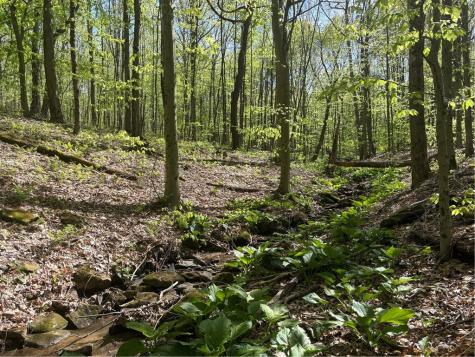 Lot 3 & 4 Killarney Road Springfield Township PA 15464