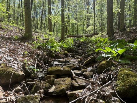 Lot 3 & 4 Killarney Road Springfield Township PA 15464