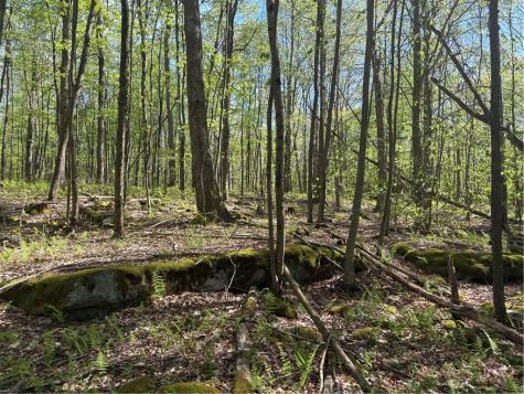 Lot 3 & 4 Killarney Road Springfield Township PA 15464