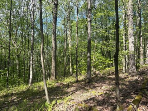 Lot 3 & 4 Killarney Road Springfield Township PA 15464