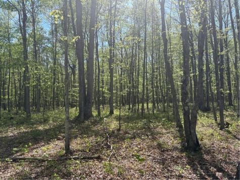 Lot 3 & 4 Killarney Road Springfield Township PA 15464
