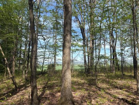 Lot 3 & 4 Killarney Road Springfield Township PA 15464