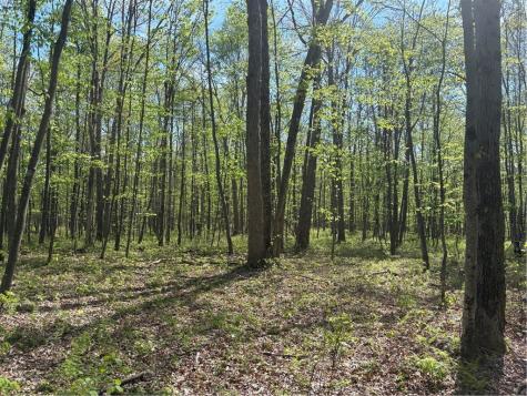 Lot 3 & 4 Killarney Road Springfield Township PA 15464