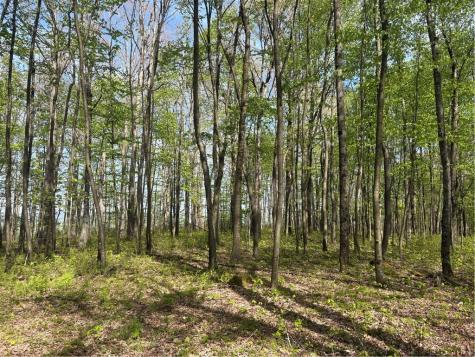Lot 3 & 4 Killarney Road Springfield Township PA 15464