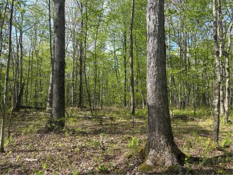 Lot 3 & 4 Killarney Road Springfield Township PA 15464