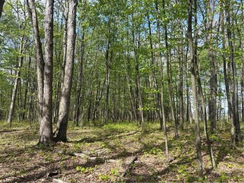 Lot 3 & 4 Killarney Road Springfield Township PA 15464