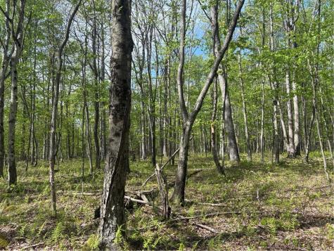 Lot 3 & 4 Killarney Road Springfield Township PA 15464